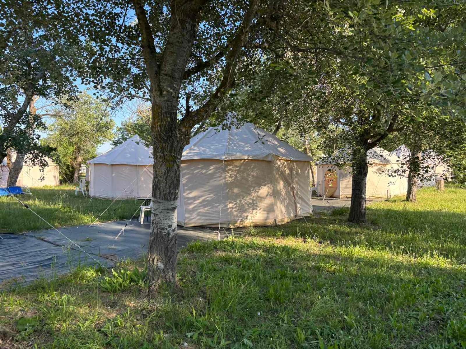 Paliouri Luxury Bungalows Eksteriør billede