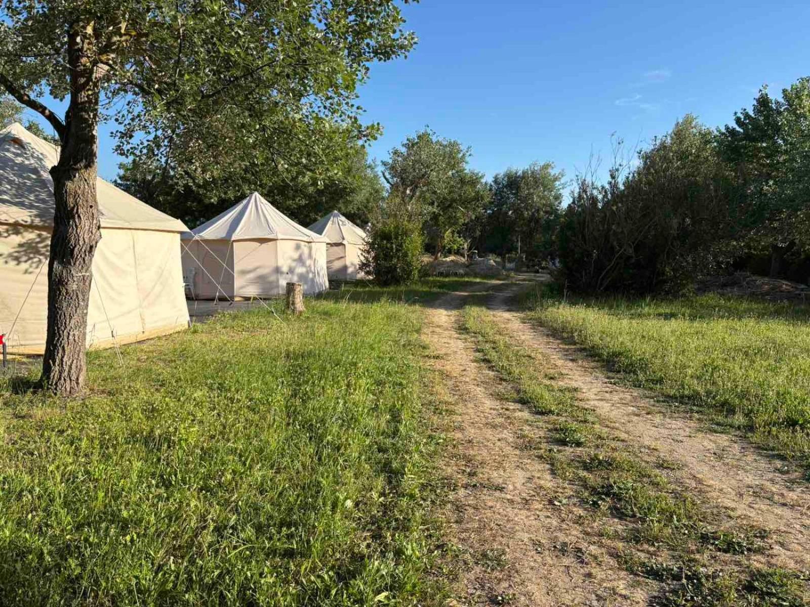 Paliouri Luxury Bungalows Eksteriør billede